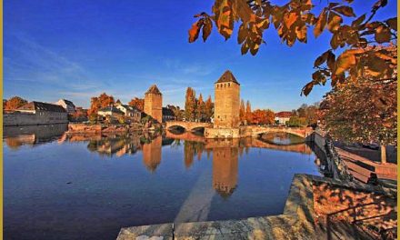 5 novembre 2016 – Ateliers WCS : Un automne en petits comités !
