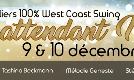 9-10 décembre 2017, ateliers WCS : En attendant Noël à Strasbourg !